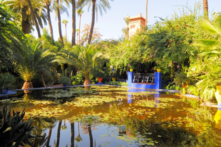Marrakech gardens guided shared 1/2 Day Tour