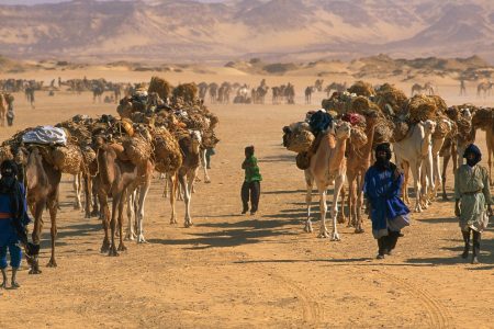 Explore the Ancient Salt Route and Desert Landscapes