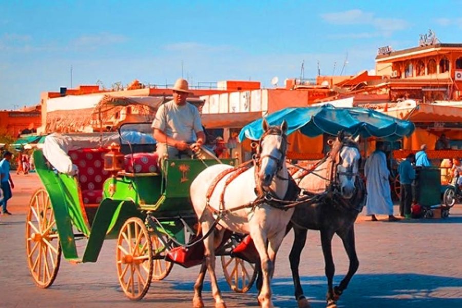 Majestic Marrakech horse-drawn carriage & gardens tour