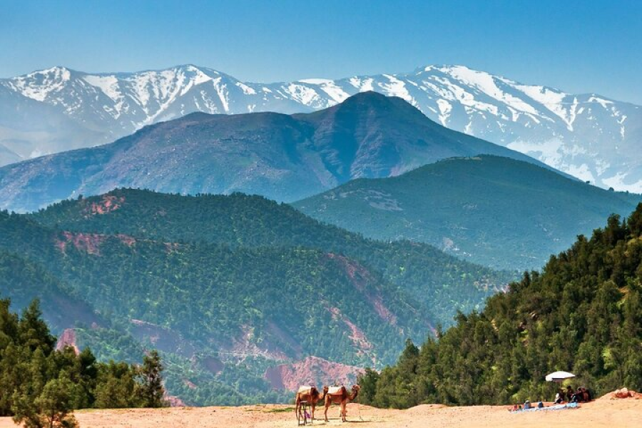 Ourika Waterfalls & Atlas Mountains private guided trip with lunch